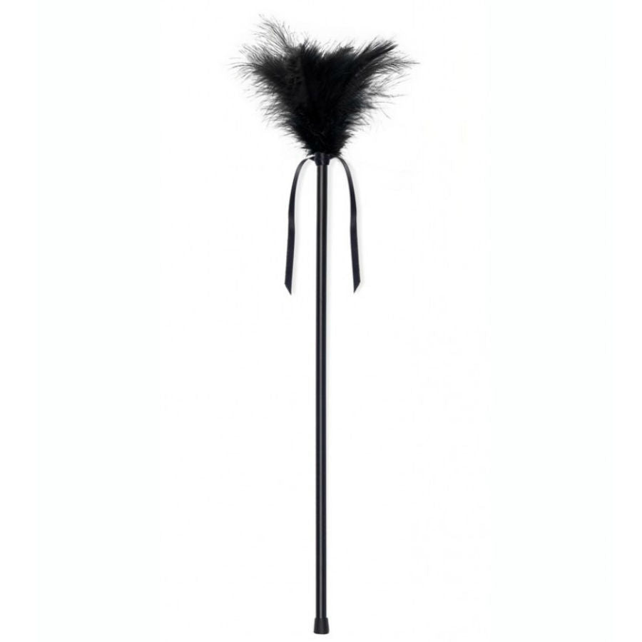 SECRETPLAY - PLUMES NOIRES 40 CM - 7eme ciel