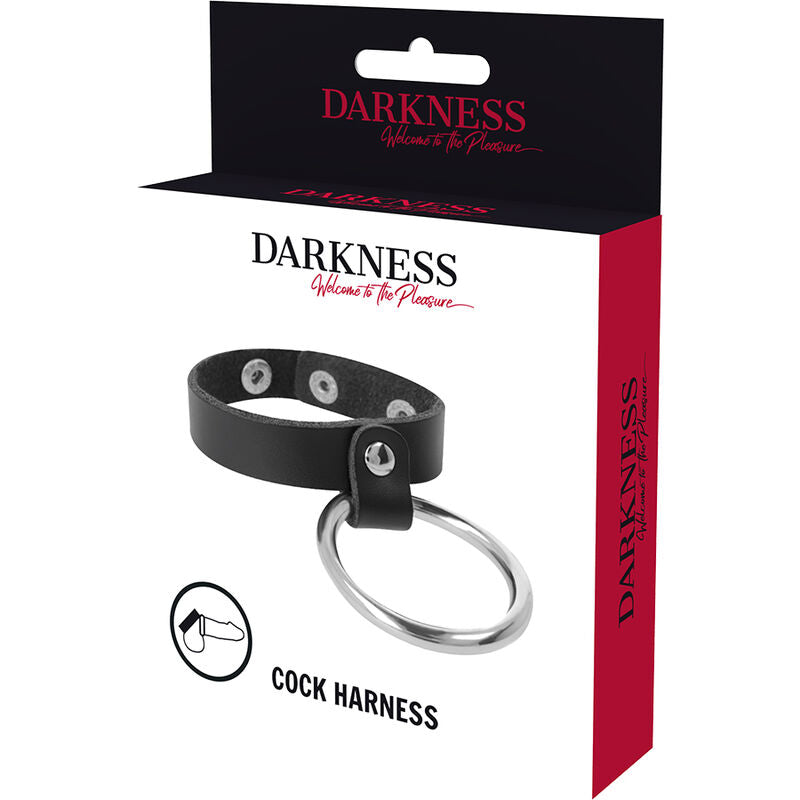 DARKNESS - ANNEAU MÉTALLIQUE POUR LE PÉNIS ET LES TESTICULES - 7eme ciel