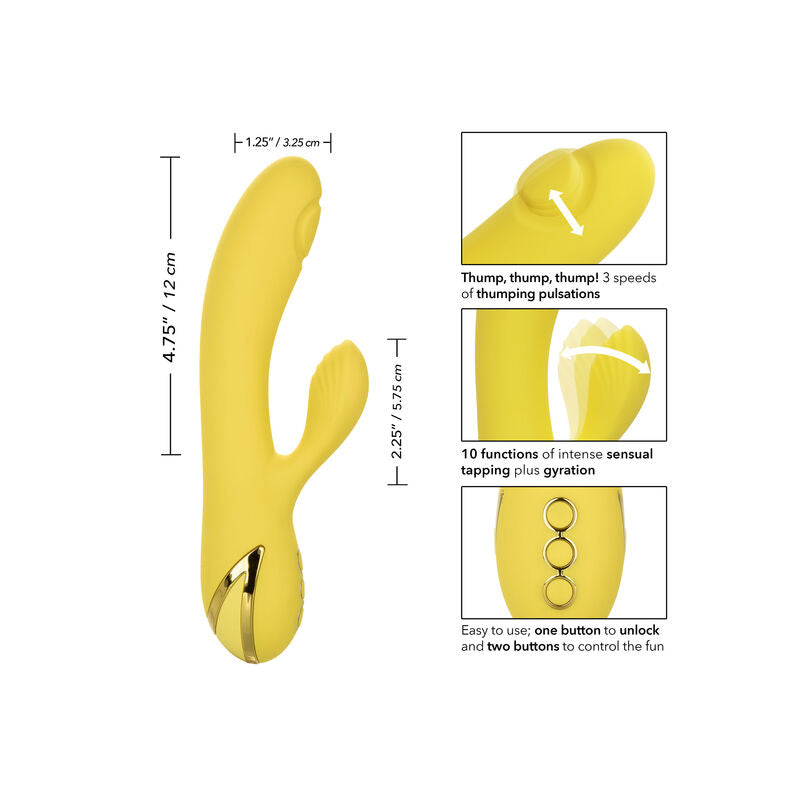 CALEXOTICS - SAN DIEGO SÉDUCTION - 7eme ciel