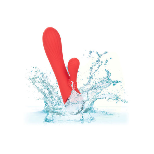 CALEXOTICS - PALISADES PASSION ROUGE - 7eme ciel