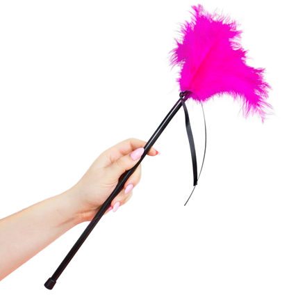 SECRETPLAY - PLUMES ROSE 40 CM - 7eme ciel