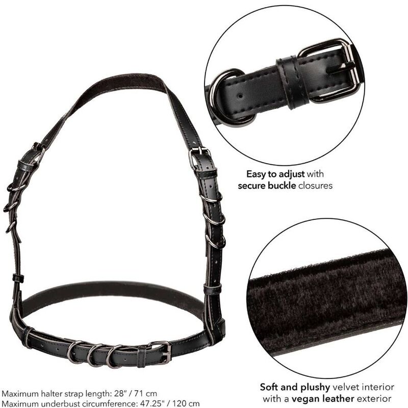 CALEXOTICS - EUPHORIA HARNAIS BOUCLE LICOL TAILLE PLUS NOIR - 7eme ciel