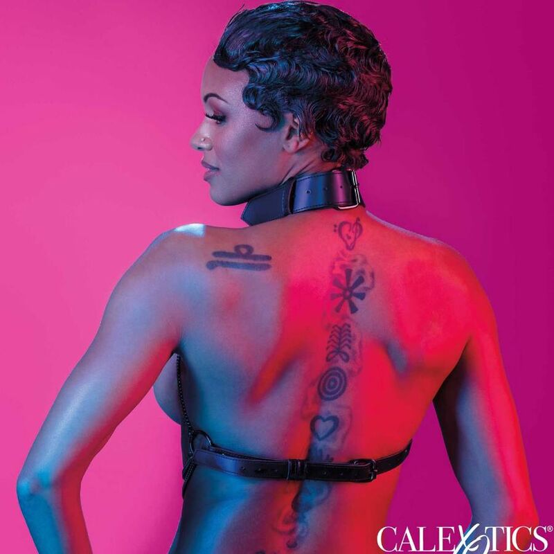 CALEXOTICS - EUPHORIA HARNAIS COLLIER MULTI CHAÎNES - 7eme ciel