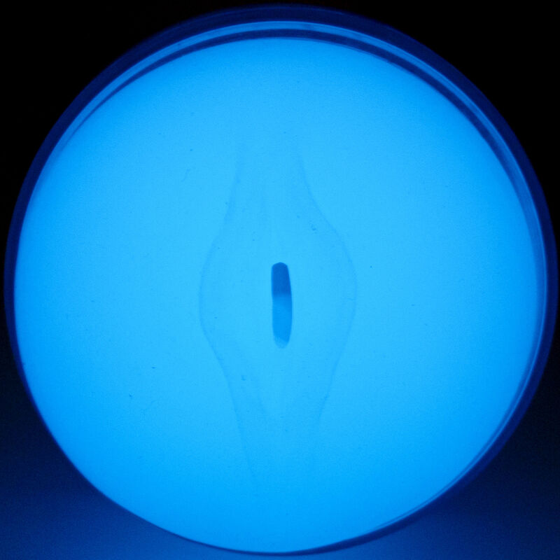 KIIROO - SENTEZ GLOW IN THE DARK STROKER - 7eme ciel