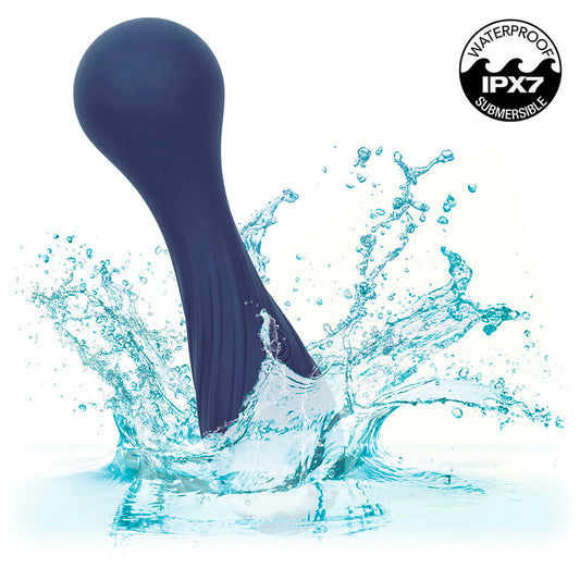 CALEXOTICS - CHARISMA TEMPTATION MASSEUR 12 FONCTIONS VIOLET