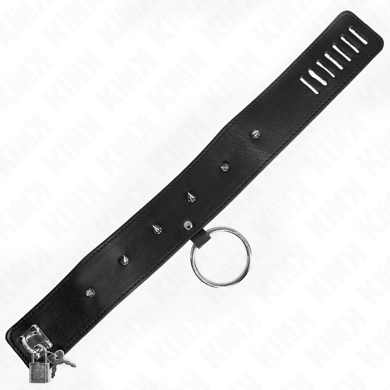 KINK - COLLIER 65 CM AVEC LAISSE AVEC CLOUS ARGENTÉS MODÈLE 2 RÉGLABLE 36-43 CM X 5 CM - 7eme ciel