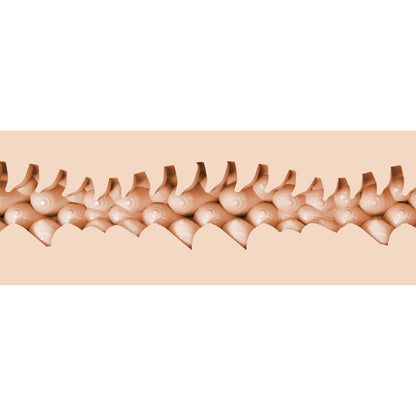 FLESHLIGHT FANTASY - EVIE AKASHIYA VAGIN