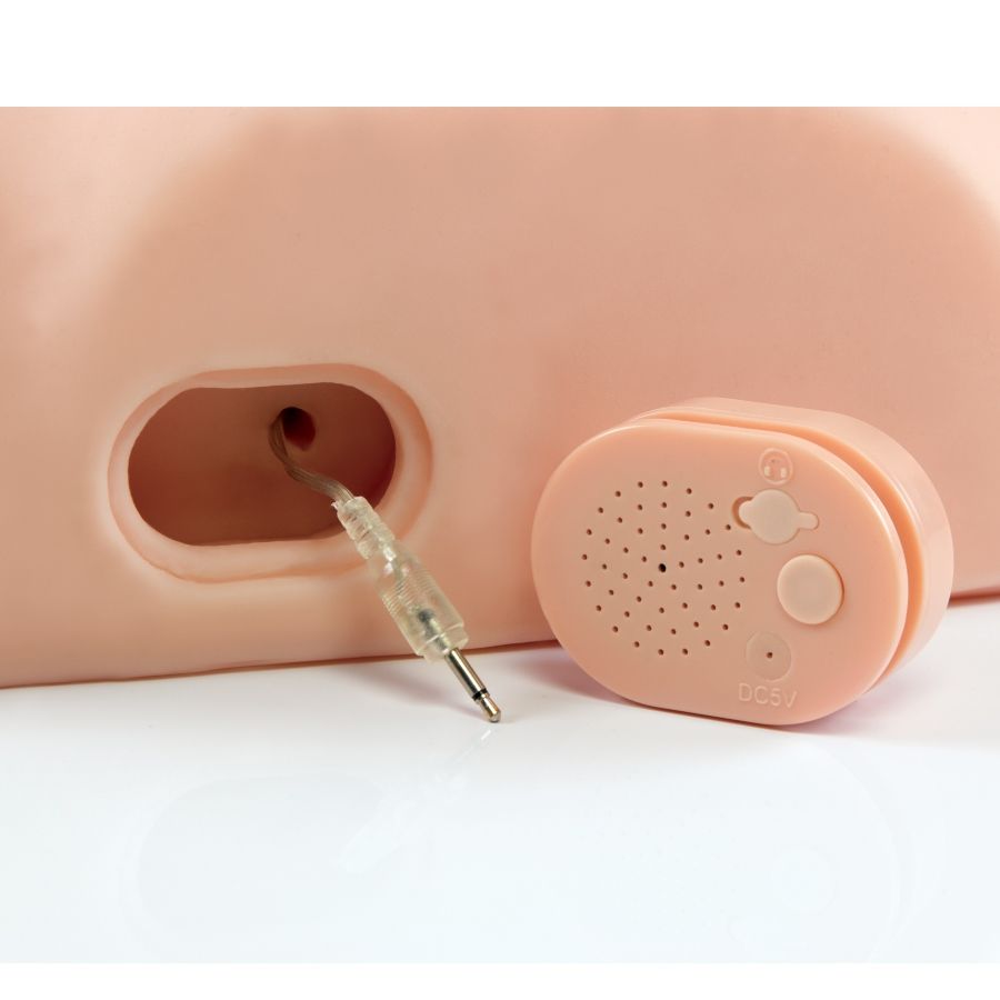 PDX MALE - INTERACTIF BAISEZ-LE SILLY - 7eme ciel